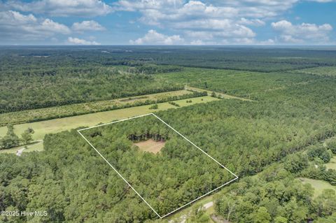 Tiny photo for 0 Chadwick Lane, Burgaw, NC 28425 (MLS # 100526567)
