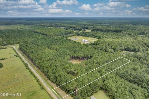Tiny photo for 0 Chadwick Lane, Burgaw, NC 28425 (MLS # 100526567)
