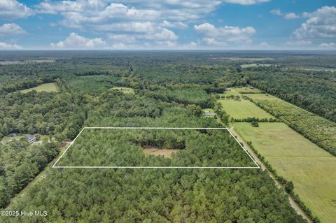 Tiny photo for 0 Chadwick Lane, Burgaw, NC 28425 (MLS # 100526567)