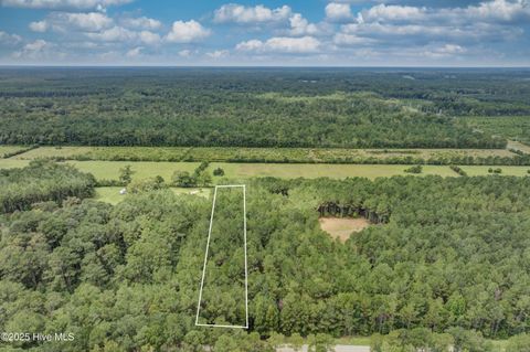 Tiny photo for 0 Chadwick Lane, Burgaw, NC 28425 (MLS # 100526567)