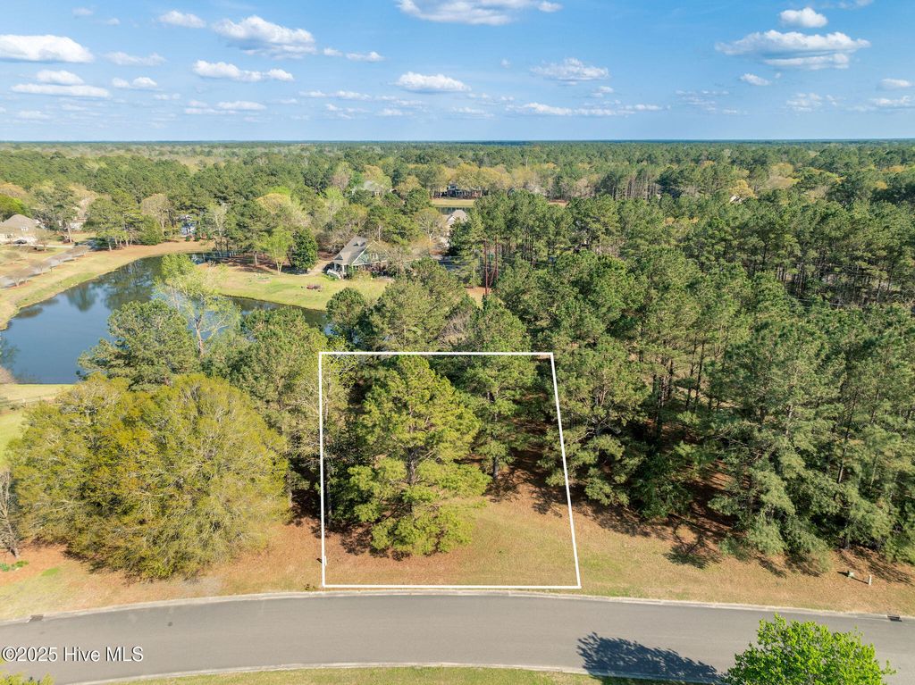 Photo of 117 Cedar Point Drive, Wallace, NC 28466 (MLS # 100498972)