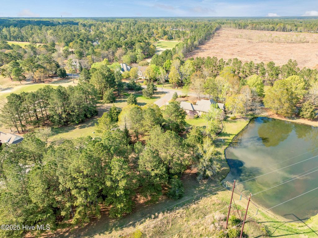Photo of 117 Cedar Point Drive, Wallace, NC 28466 (MLS # 100498972)