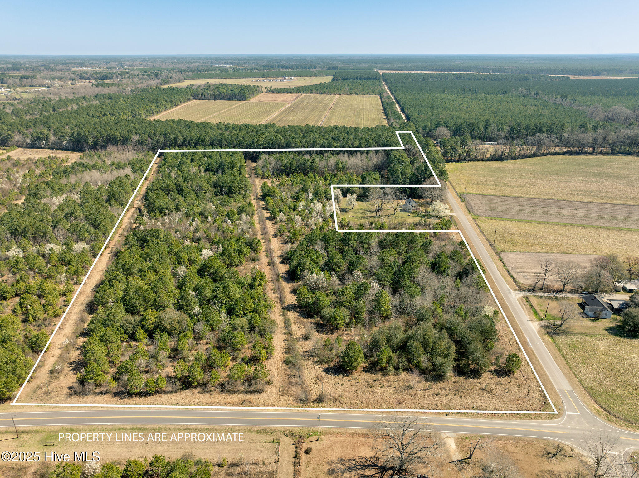 Listing image 1