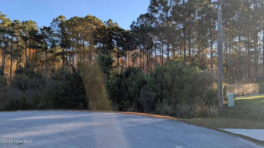 Photo of 314 Livingston Court, Holly Ridge, NC 28445 (MLS # 100543219)