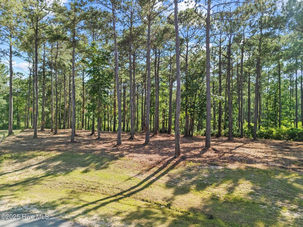 Photo of 218 Alderman Landing Road, Holly Ridge, NC 28445 (MLS # 100517301)