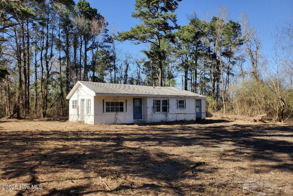Photo of 756 Five Mile Road, Richlands, NC 28574 (MLS # 100536667)