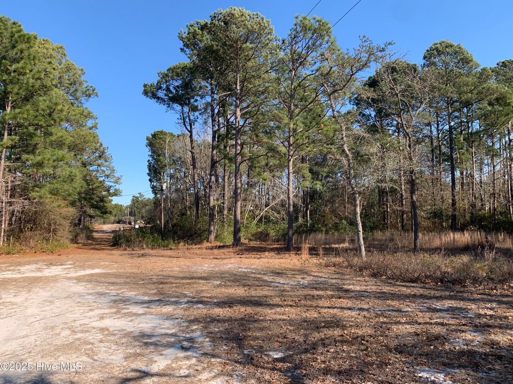 Photo of 2841 Flamingo Drive SW, Shallotte, NC 28470 (MLS # 100516934)