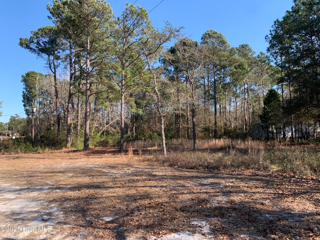 Photo of 2841 Flamingo Drive SW, Shallotte, NC 28470 (MLS # 100516934)
