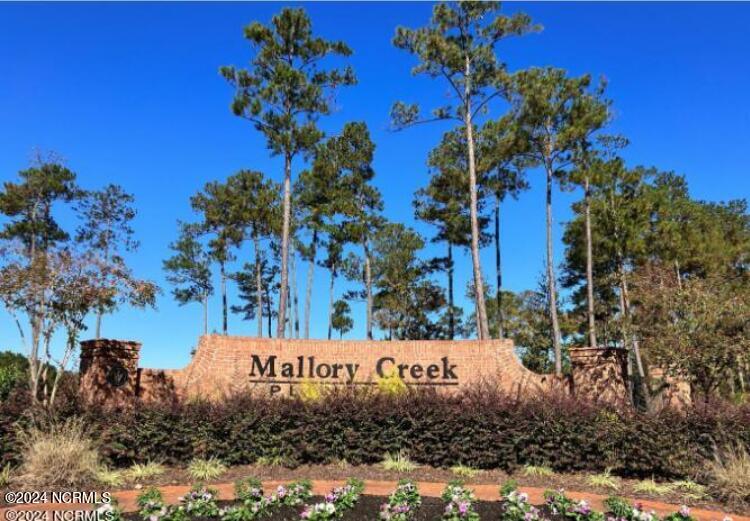 Leland, North Carolina 28479, United States, 3 Bedrooms Bedrooms, ,3 BathroomsBathrooms,Residential,Active,41913