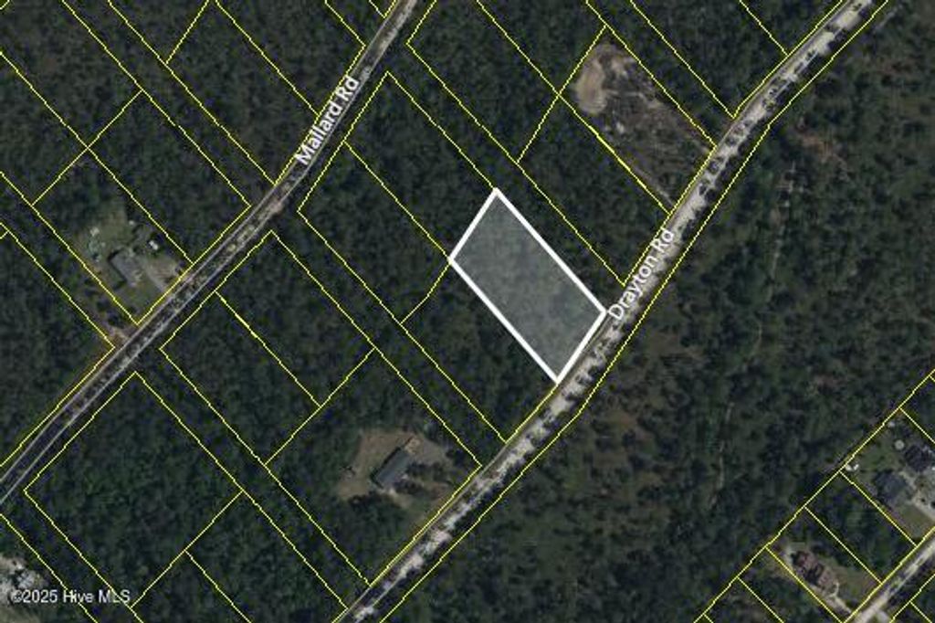 Photo of 18 Drayton Road, Boiling Spring Lakes, NC 28461 (MLS # 100531615)