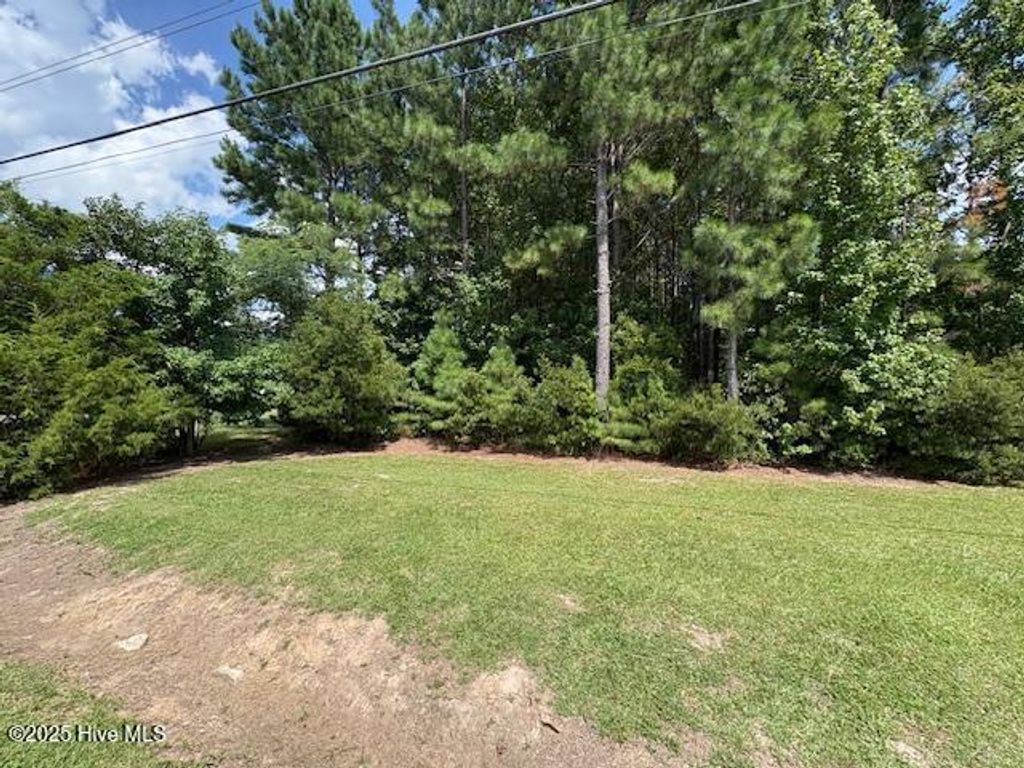 Photo of 3921 Arlington Street, Rocky Mount, NC 27801 (MLS # 100521921)