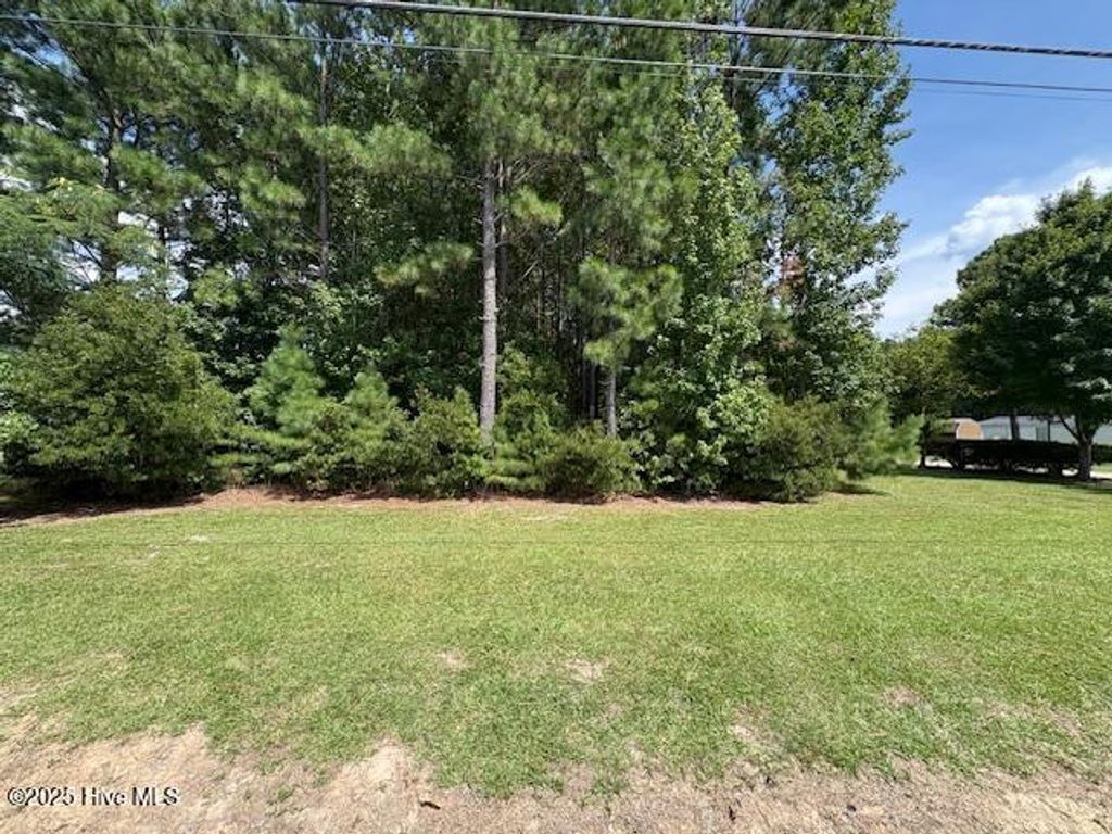 Photo of 3921 Arlington Street, Rocky Mount, NC 27801 (MLS # 100521921)