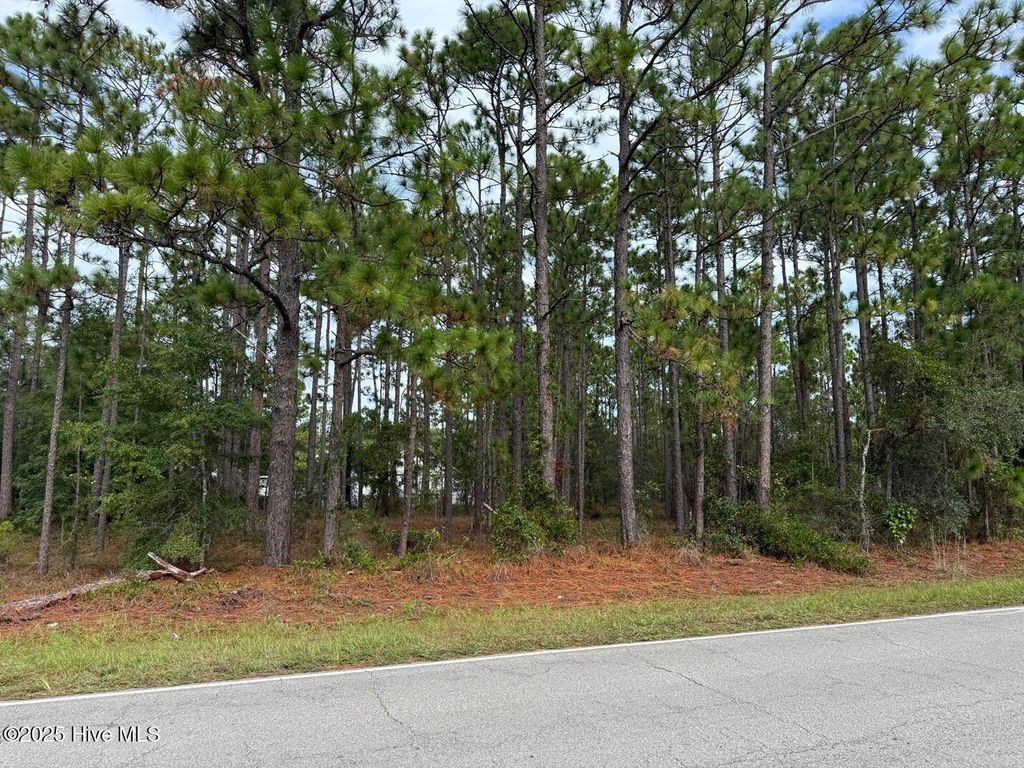 Photo of 10 E Boiling Spring Road, Boiling Spring Lakes, NC 28461 (MLS # 100534633)
