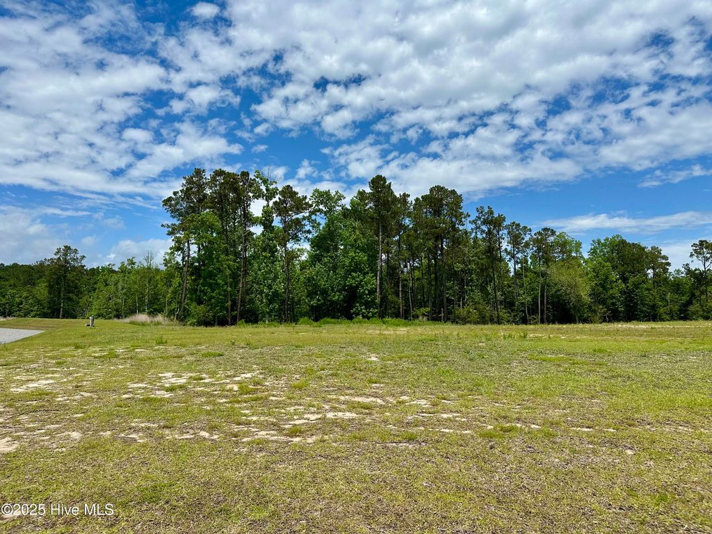 Photo of 31 Dragonfly Lane, Hampstead, NC 28443 (MLS # 100507204)