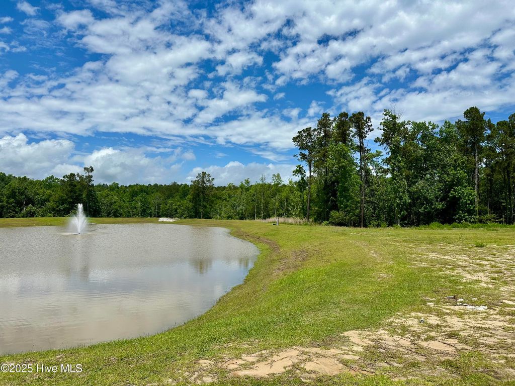 Photo of 31 Dragonfly Lane, Hampstead, NC 28443 (MLS # 100507204)