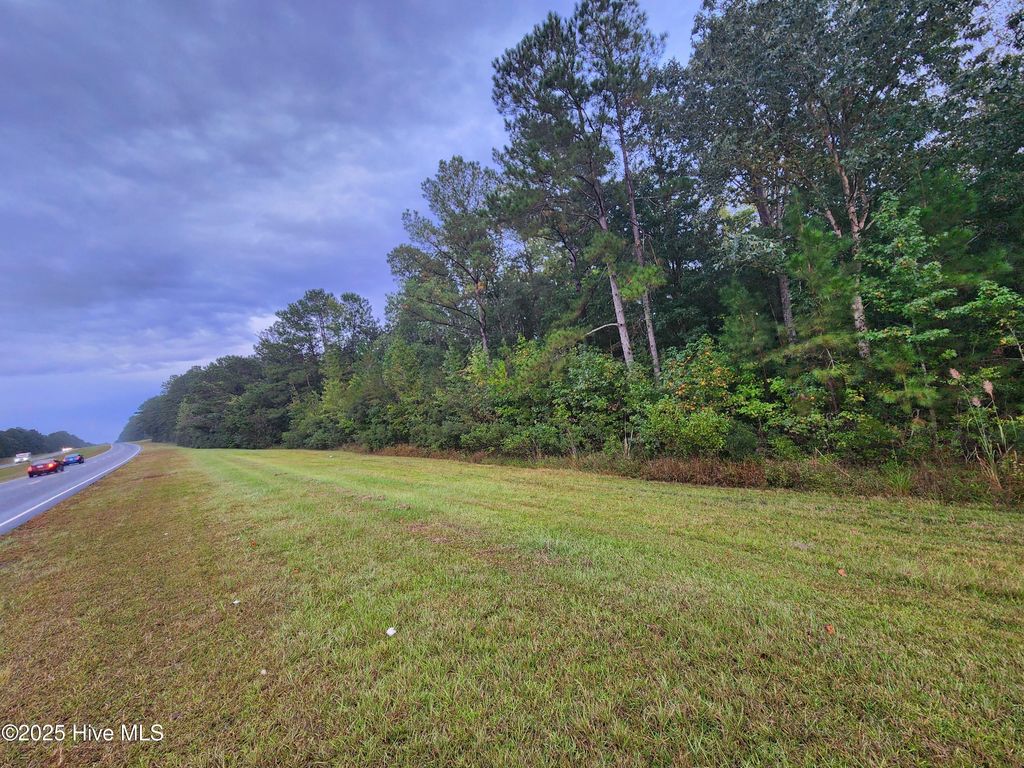 Photo of O Hwy 17, Bolivia, NC 28422 (MLS # 100533231)