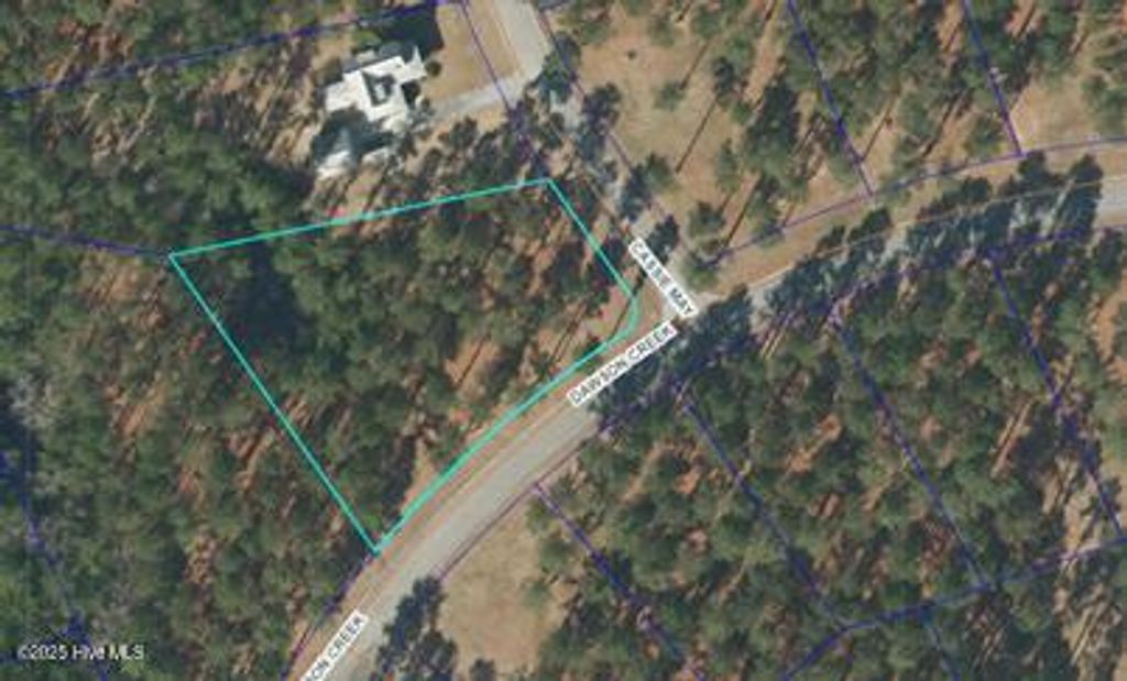 Photo of 156 Dawson Creek Boulevard, Oriental, NC 28571 (MLS # 100543331)