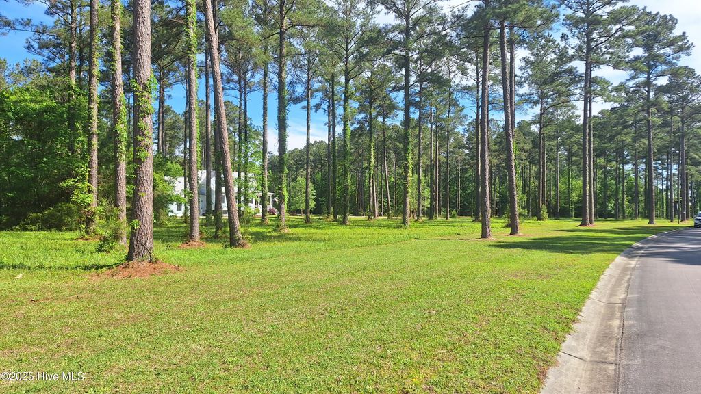 Photo of 156 Dawson Creek Boulevard, Oriental, NC 28571 (MLS # 100543331)