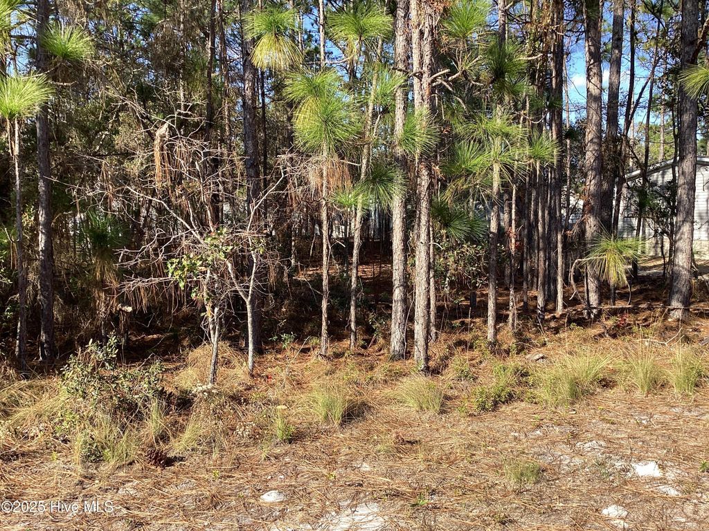 Photo of 3094 Cross Street SW, Shallotte, NC 28470 (MLS # 100542429)