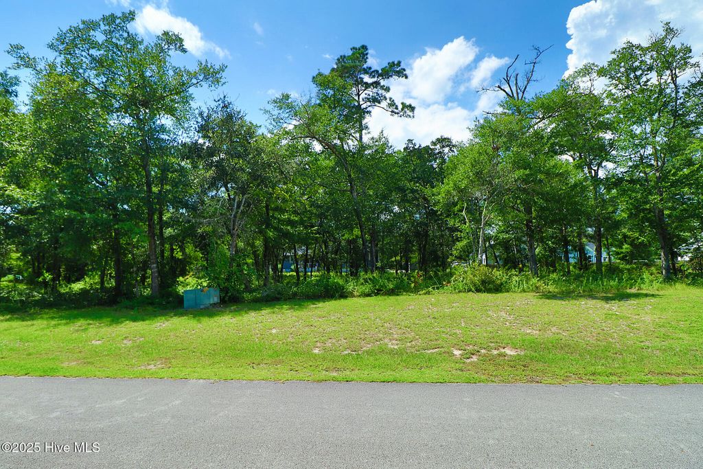 Photo of 209 Coventry Road, Morehead City, NC 28557 (MLS # 100527695)