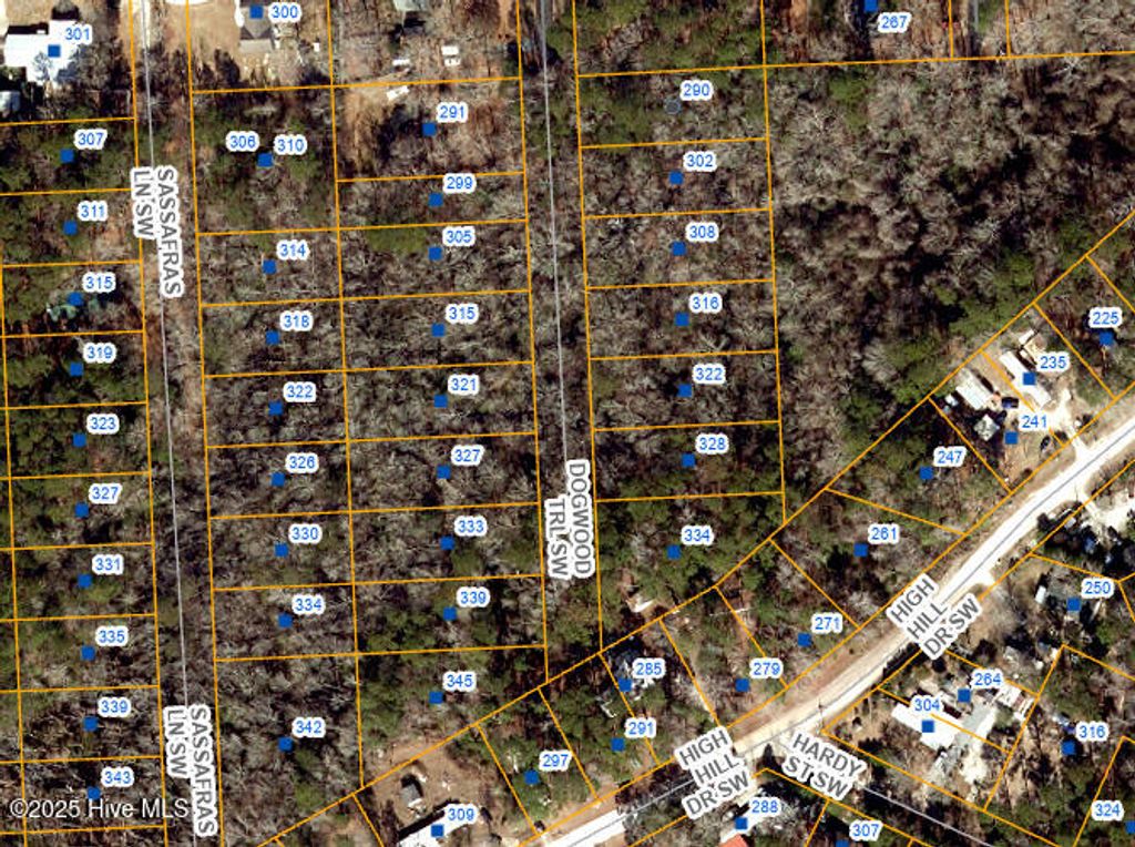 Photo of 345 SW Dogwood Trail, Supply, NC 28462 (MLS # 100512619)