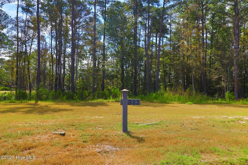 Photo of 509 Swan Court, Beaufort, NC 28516 (MLS # 100536233)