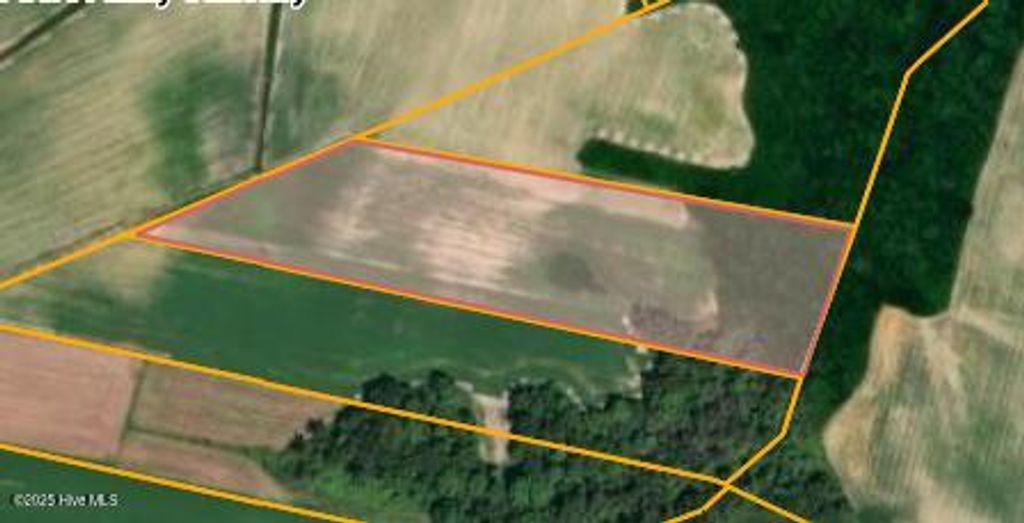 Photo of 4 Thunder Swamp Road, Mount Olive, NC 28365 (MLS # 100541883)