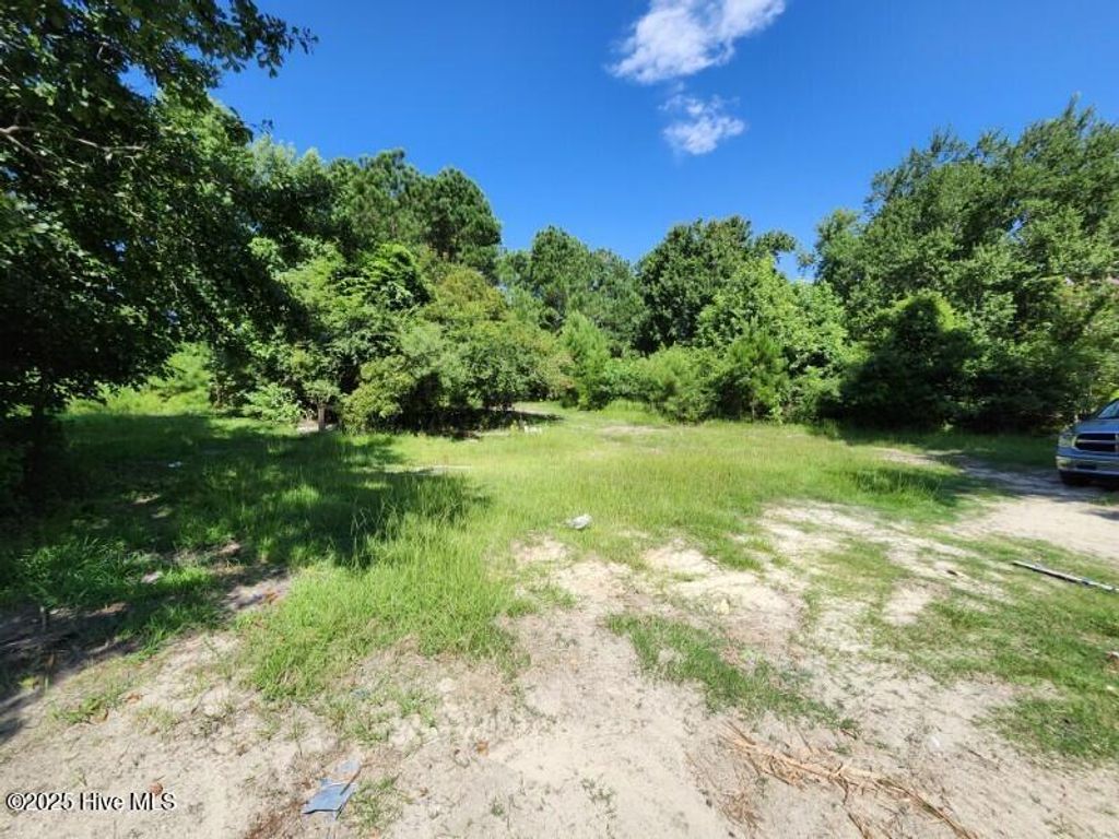 Photo of 306 Howards Landing Road, Hampstead, NC 28443 (MLS # 100518586)