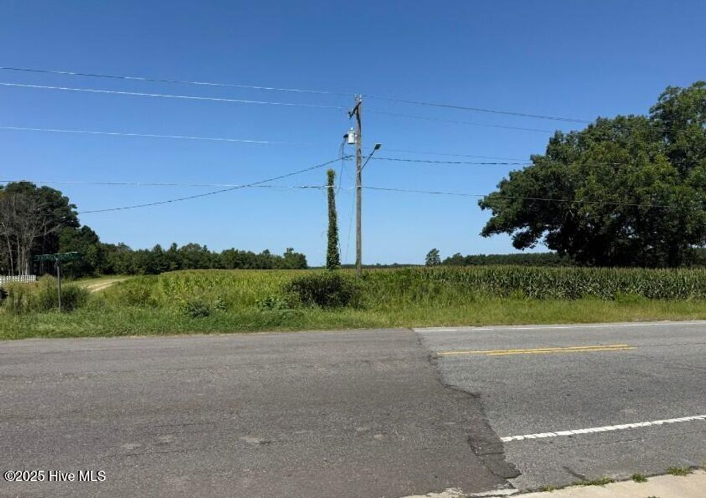 Photo of 0 Main Street, Newton Grove, NC 28366 (MLS # 100537160)