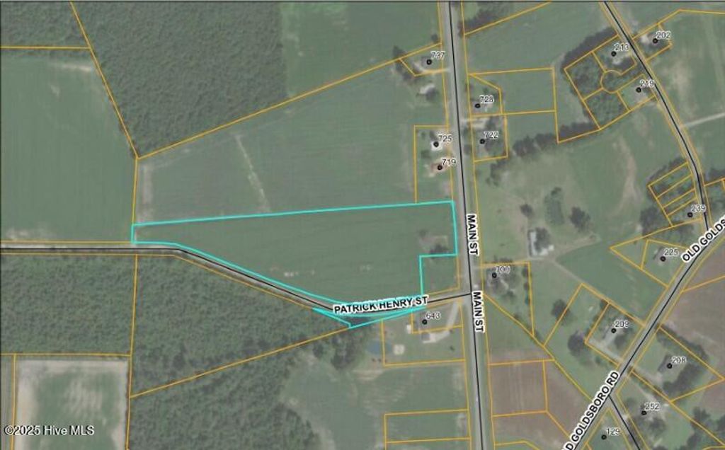 Photo of 0 Main Street, Newton Grove, NC 28366 (MLS # 100537160)