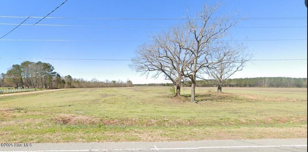 Photo of 0 Main Street, Newton Grove, NC 28366 (MLS # 100537160)