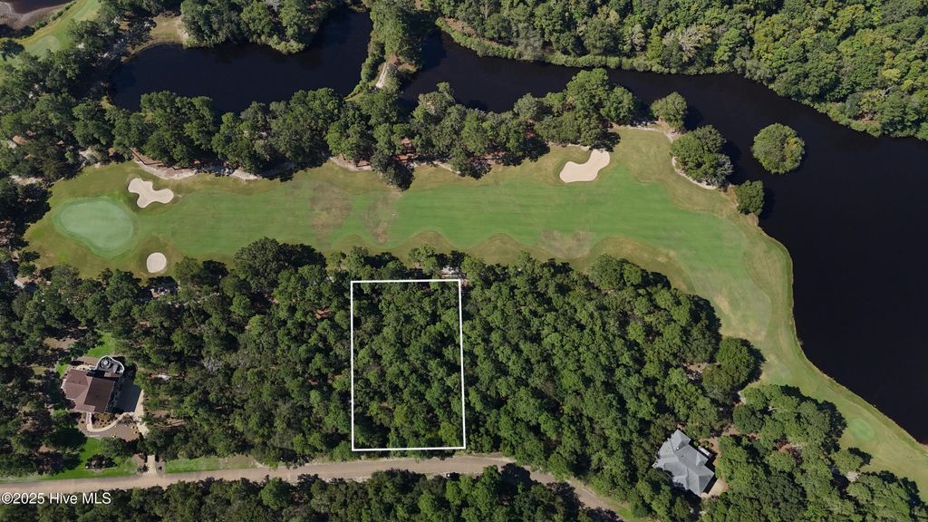 Photo of 346 River Woods Drive, Wallace, NC 28466 (MLS # 100529683)