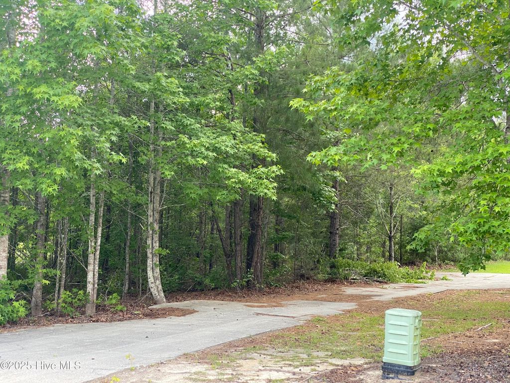 Photo of 4887 Grinders Way NE, Leland, NC 28451 (MLS # 100509299)
