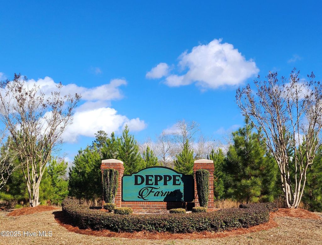 Photo of 240 Deppe Farm Road, Maysville, NC 28555 (MLS # 100501324)