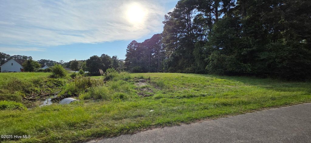 Photo of 0 Country Club Drive, Grifton, NC 28530 (MLS # 100530206)