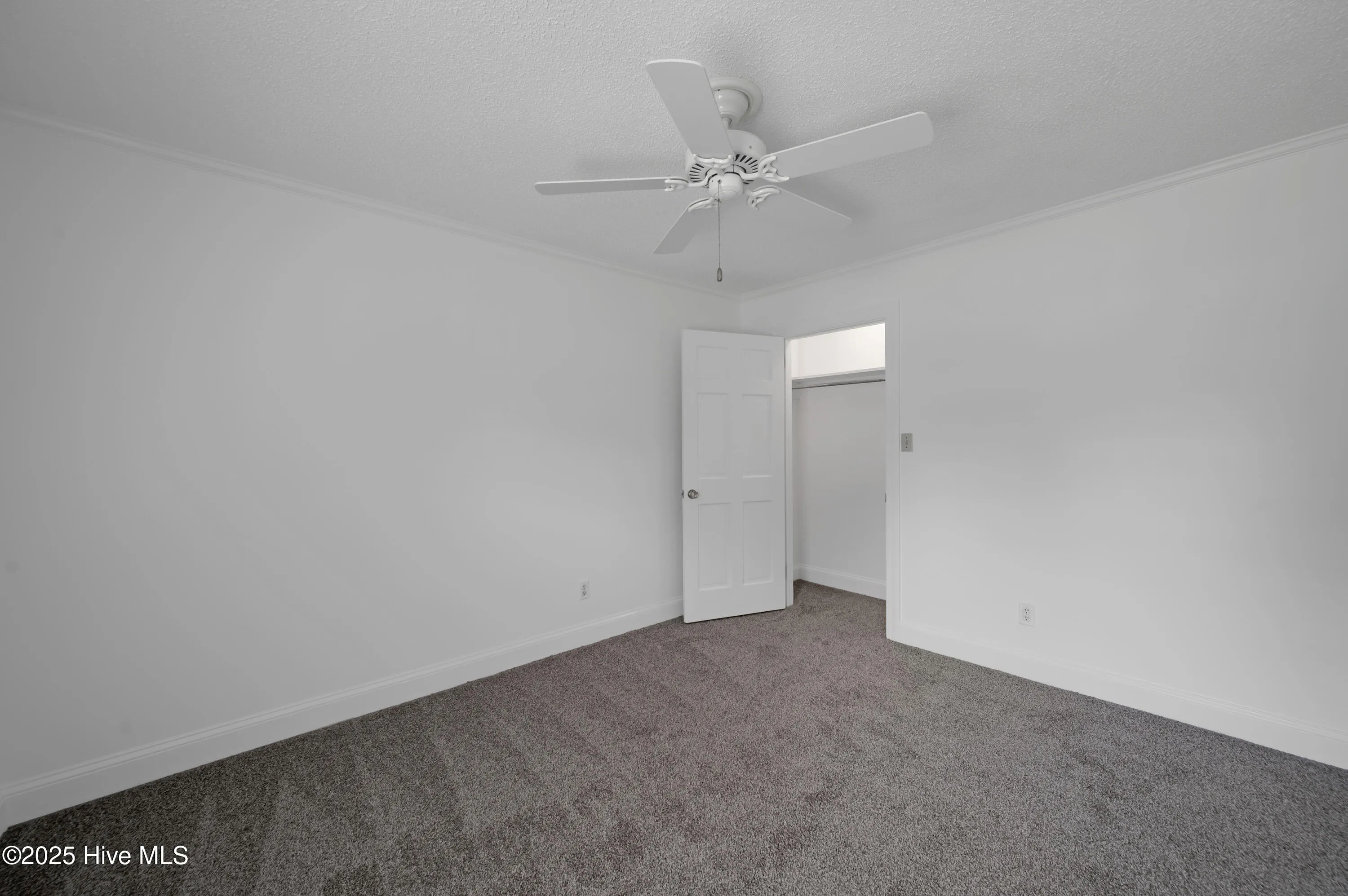 Greenville, North Carolina 27858, United States, 4 Bedrooms Bedrooms, ,3 BathroomsBathrooms,Residential,Active,146734