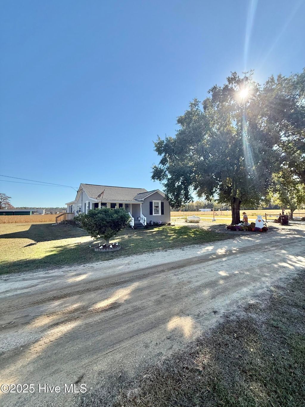 Photo of 137 Butterfly Lane, Pikeville, NC 27863 (MLS # 100539005)