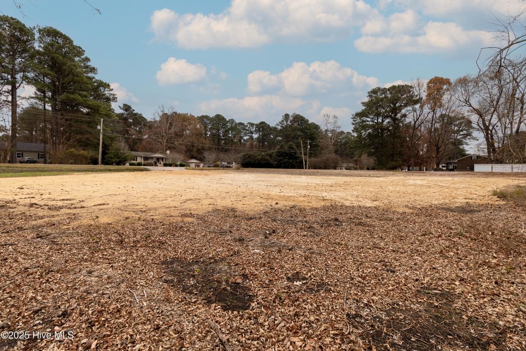 Photo of 100 Rockfish Street, Edenton, NC 27932 (MLS # 100544206)