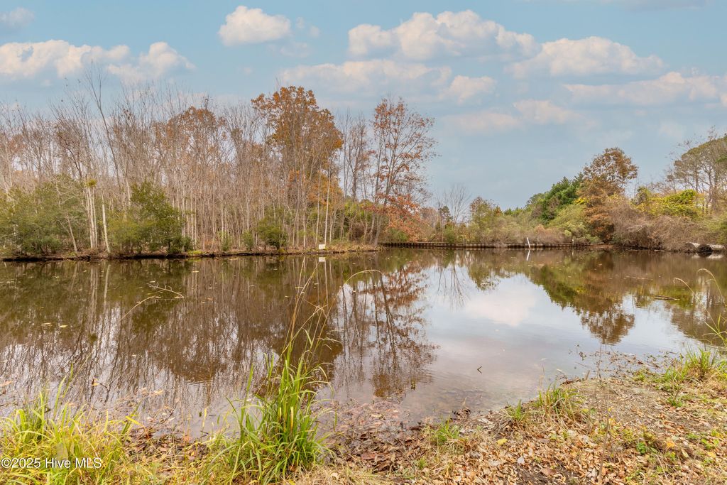 Photo of 100 Rockfish Street, Edenton, NC 27932 (MLS # 100544206)