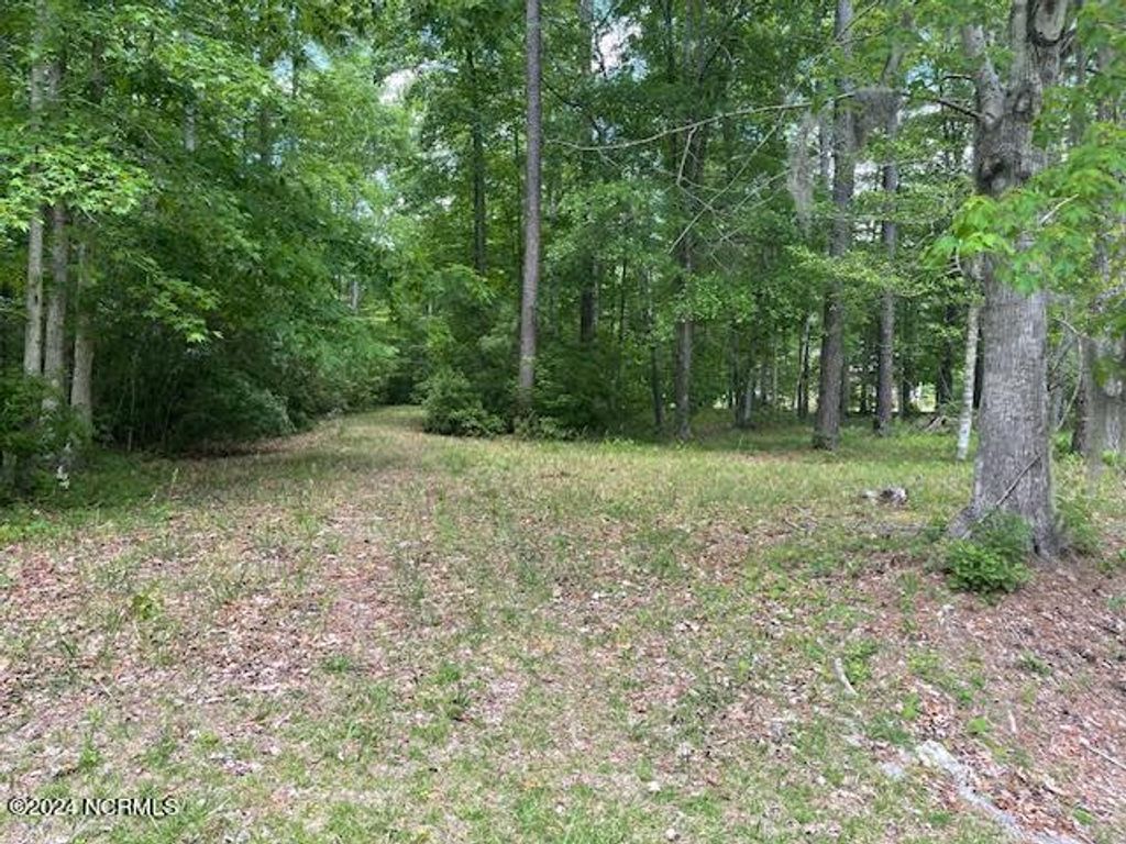 Photo of 20 Freshwater Drive, Blounts Creek, NC 27814 (MLS # 100523836)