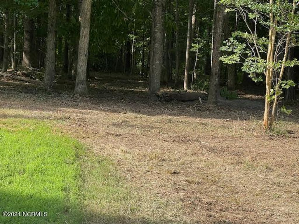 Photo of 20 Freshwater Drive, Blounts Creek, NC 27814 (MLS # 100523836)