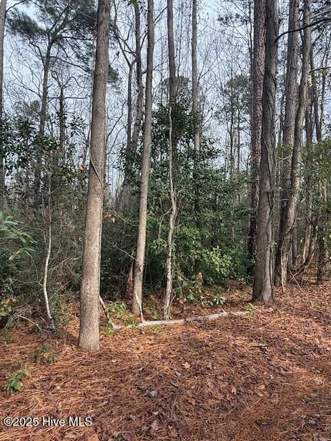 Tiny photo for 8 North Drive, Rocky Point, NC 28457 (MLS # 100544327)