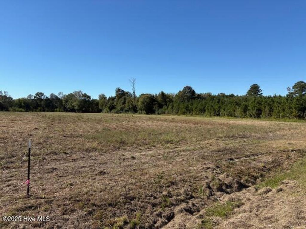 Photo of 3 County Home Road, Ayden, NC 28513 (MLS # 100537207)