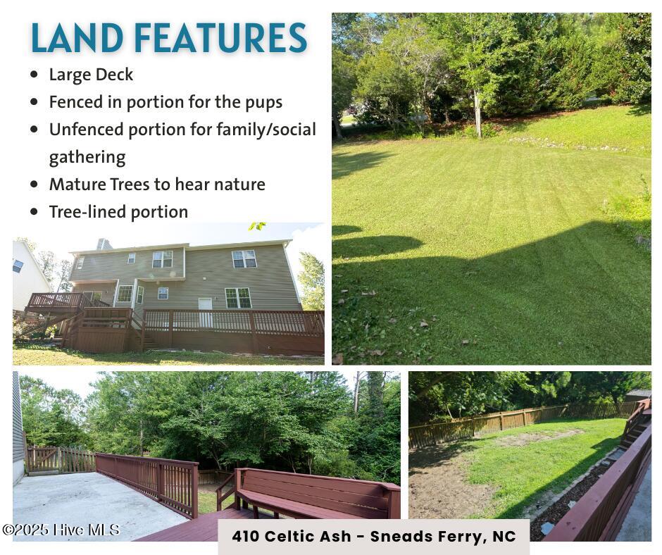 410 Celtic Ash Street