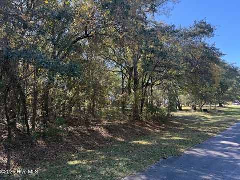 Photo of 902 Firefly Court, New Bern, NC 28560 (MLS # 100537901)