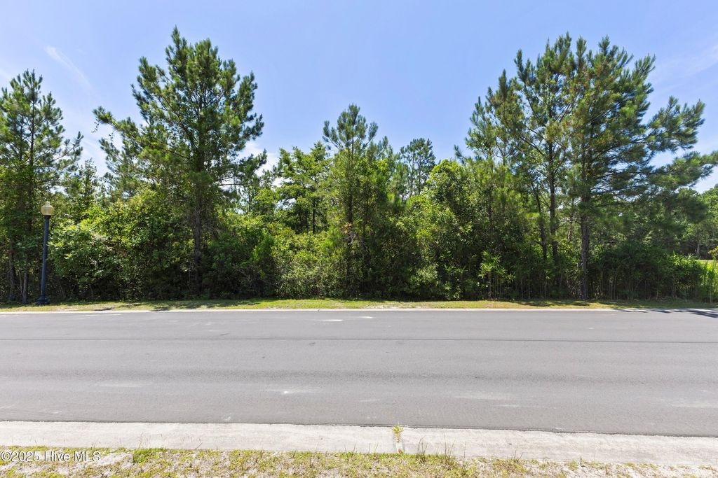 Photo of 2957 Old Berwick Street SW, Shallotte, NC 28470 (MLS # 100515349)