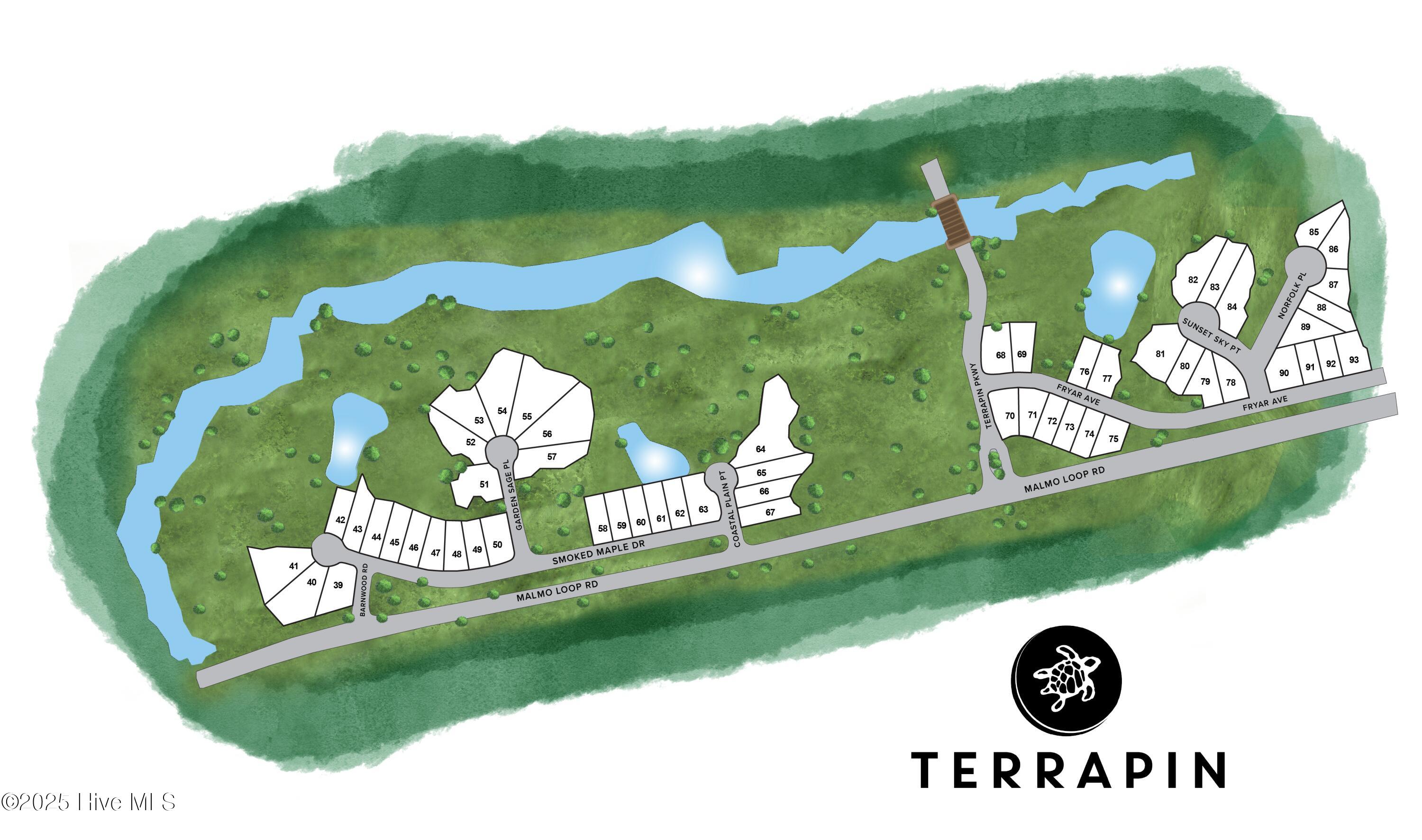 6028 Painted Turtle 187