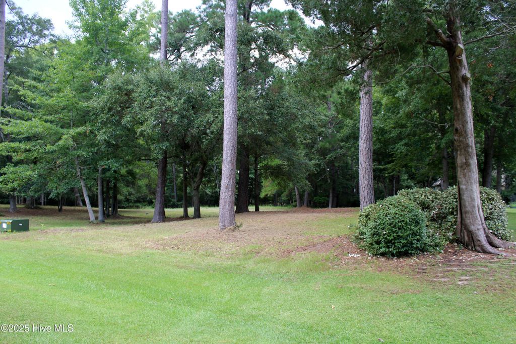 Photo of 240 Genoes Point Road SW, Supply, NC 28462 (MLS # 100522664)