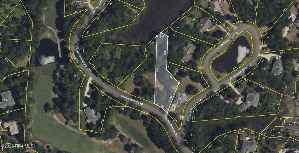Photo of 240 Genoes Point Road SW, Supply, NC 28462 (MLS # 100522664)