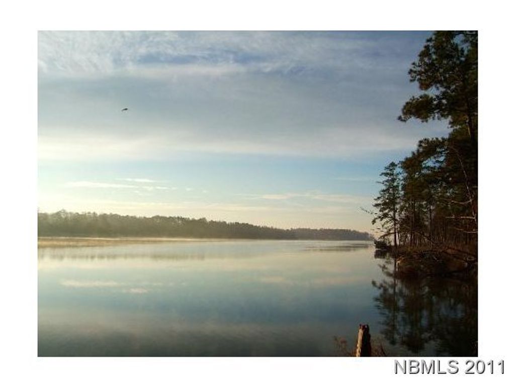 Photo of 454 Baird Point Road, Grantsboro, NC 28529 (MLS # 100486372)